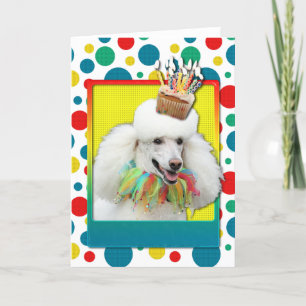Geburtstagskuchen - Poodle - weiß Karte