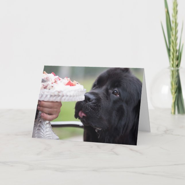 Geburtstagskuchen und Hundekarte Karte (Vorderseite)