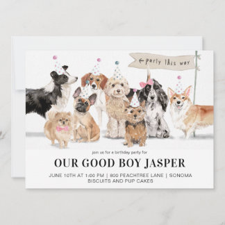 Geburtstagsparty des Hundes: Biscuits & Pup Cakes Einladung