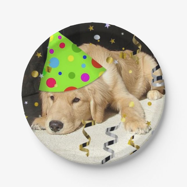 Geburtstagsparty Golden Retriever Pappteller (Vorderseite)