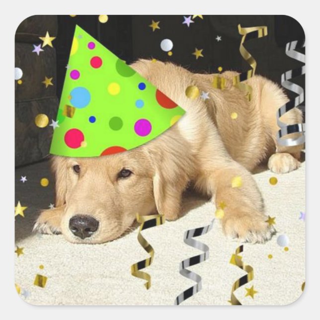 Geburtstagsparty Golden Retriever Quadratischer Aufkleber (Vorderseite)