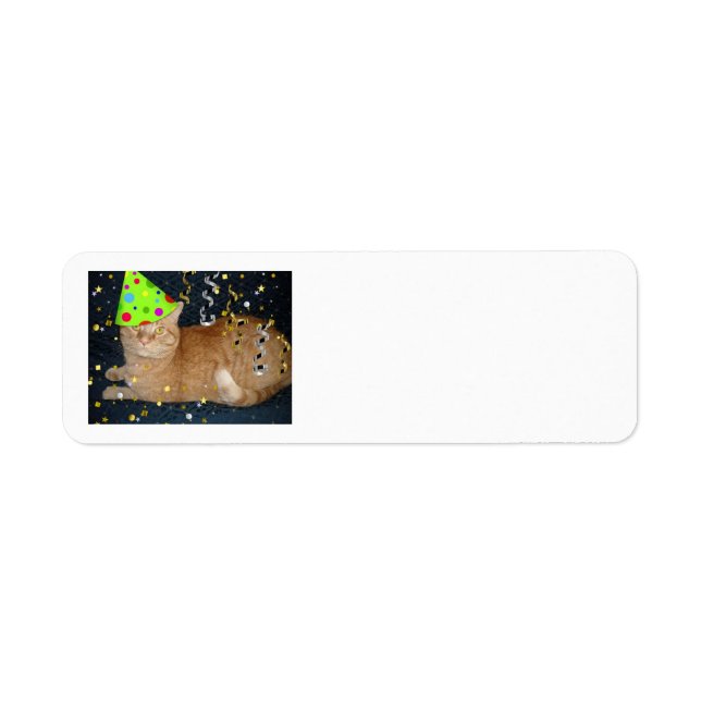 Geburtstagsparty Orange Tabby Cat (Vorne)