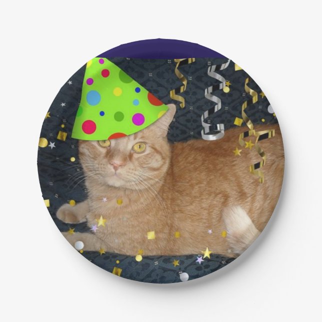 Geburtstagsparty Orange Tabby Cat Pappteller (Vorderseite)