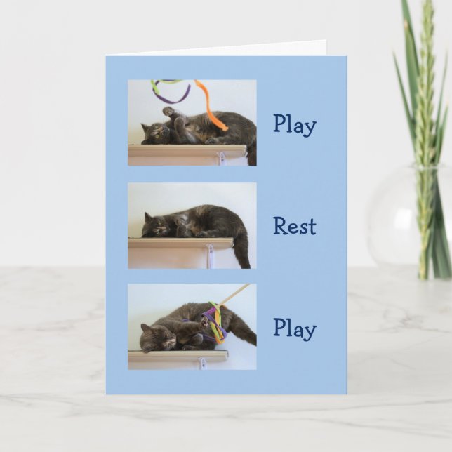 Geburtstagswünsche für Katzen Karte (Vorderseite)