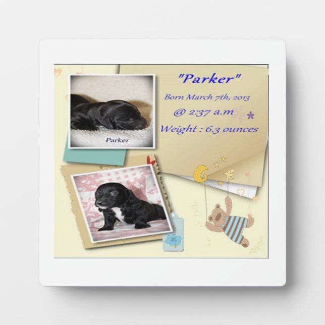 Geburtsurkunde für Parker Fotoplatte (Vorderseite)