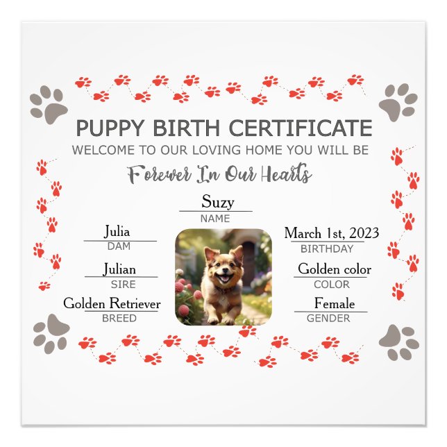 Geburtsurkunde für Puppy Fotodruck (Vorne)