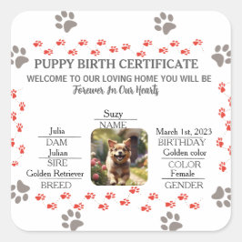 Geburtsurkunde für Puppy Quadratischer Aufkleber