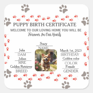 Geburtsurkunde für Puppy Quadratischer Aufkleber