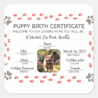 Geburtsurkunde für Puppy