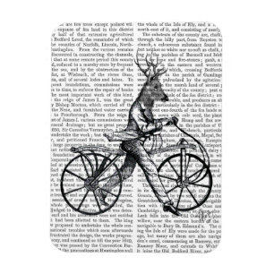 Geckige Rotwild auf Vintagem Fahrrad Magnet