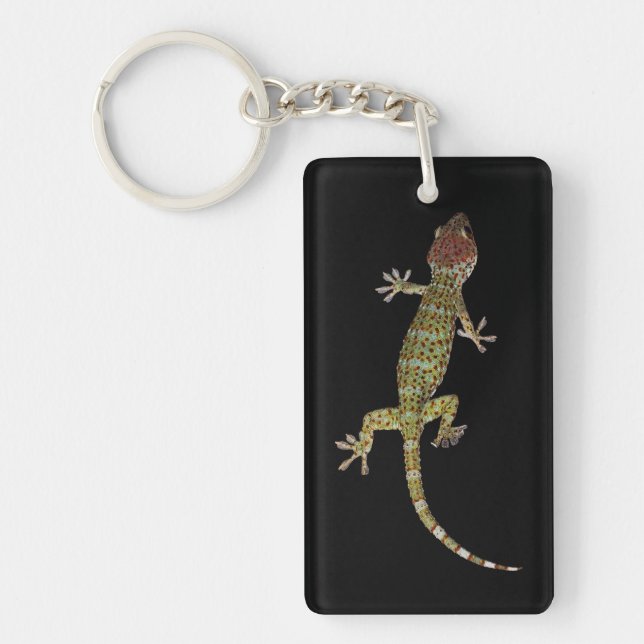 Gecko (Devant)