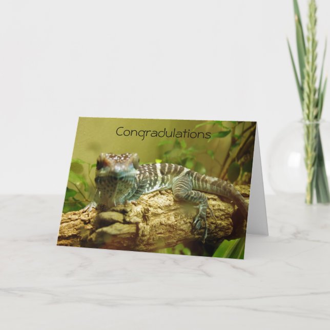 Gecko Abschluss Card Karte (Vorderseite)