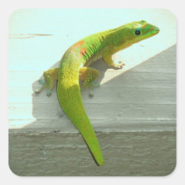 Gecko-Aufkleber Quadratischer Aufkleber