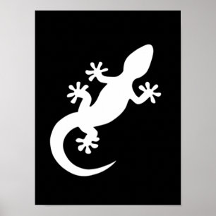Gecko Blanc Poster