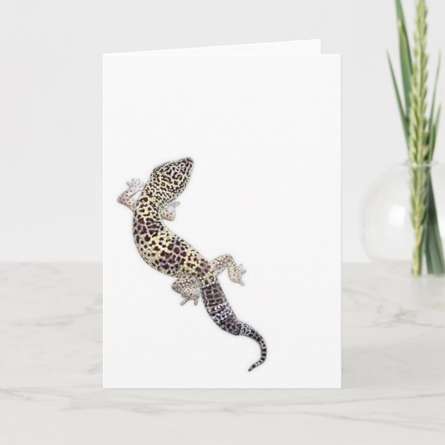 Gecko Card 01 Karte (Vorderseite)