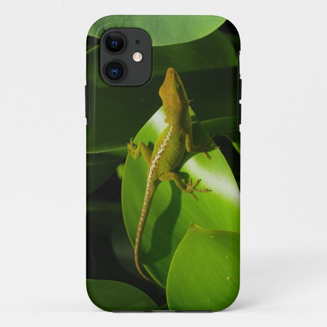 Gecko Case-Mate iPhone Hülle (Rückseite)