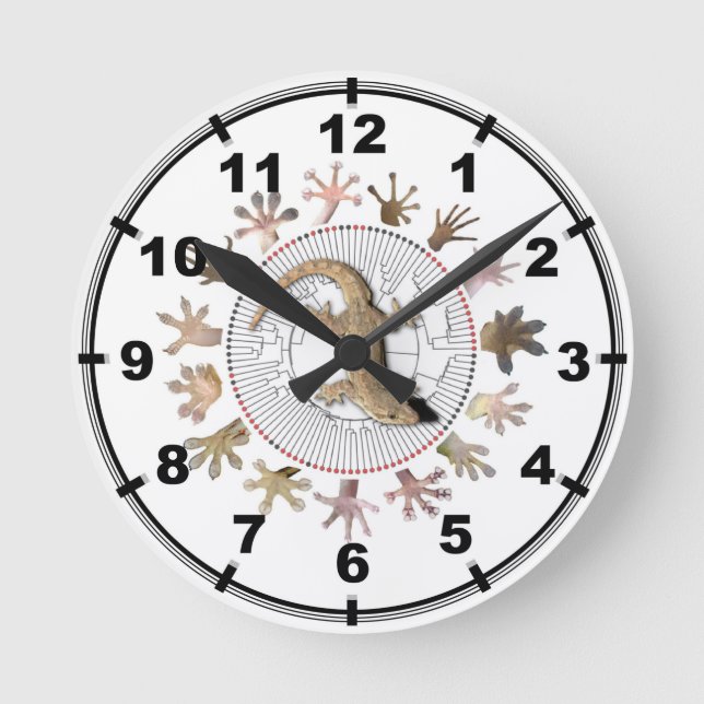 Gecko Clock Runde Wanduhr (Vorderseite)