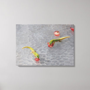 Gecko Cocktailstunde zweiteiliges Leinwand Set