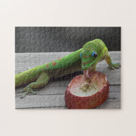 Gecko, der Trauben isst