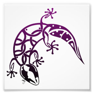 Gecko-Druck Fotodruck