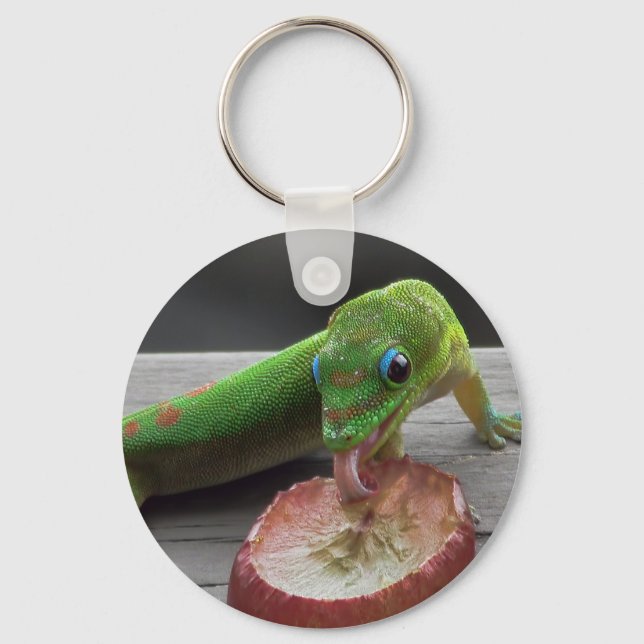 Gecko Eating Trauben Schlüsselanhänger (Vorderseite)