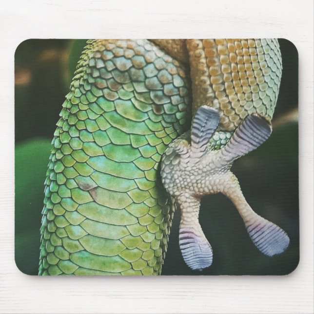 Gecko Feet Mousepad (Vorne)