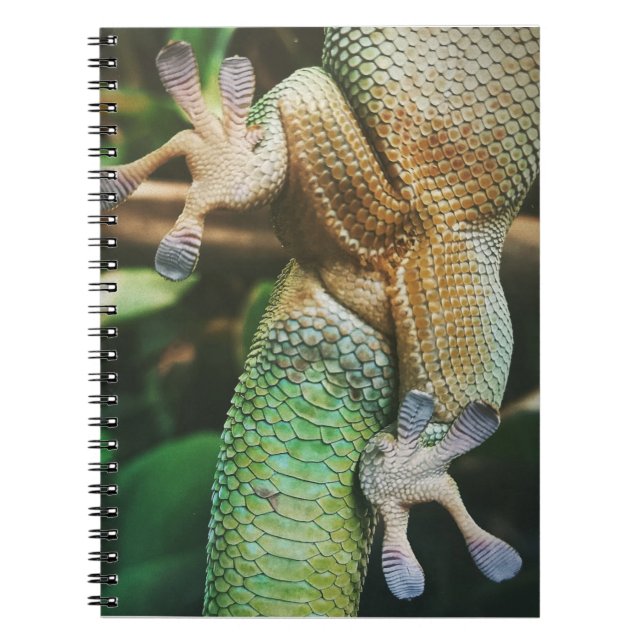 Gecko Feet Notizblock (Vorderseite)