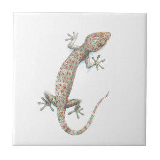 Gecko Fliese