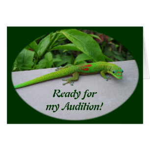 Gecko Gold Dust Day - Audition et obtenir quelques