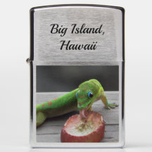 Gecko léchant un raisin