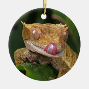 Gecko Lizard Keramik Ornament