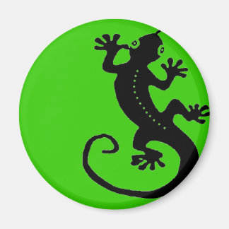 Gecko Magnet