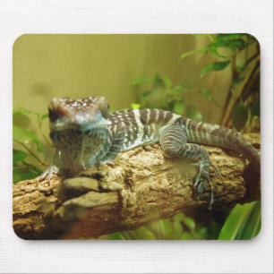 Gecko Mousepad