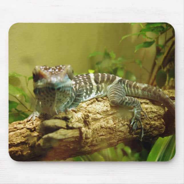 Gecko Mousepad (Vorne)