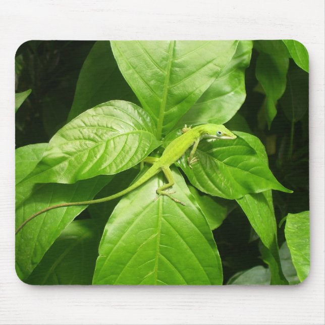 Gecko Mousepad (Vorne)