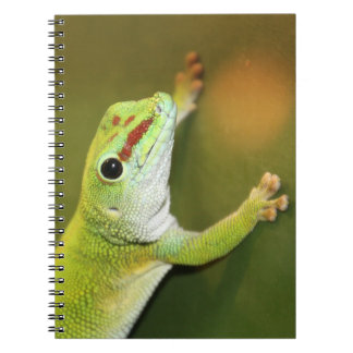 Gecko Notizblock
