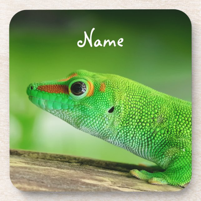 Gecko - Phelsuma grandis Getränkeuntersetzer (Vorderseite)