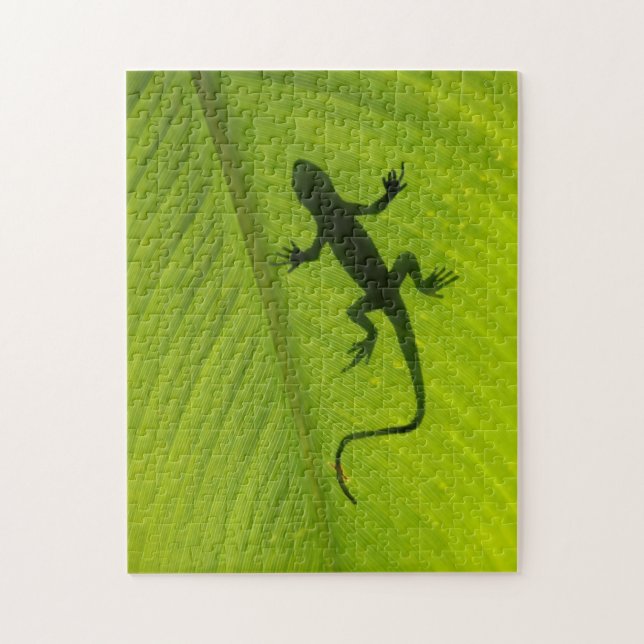 Gecko-Silhouette (Vertikal)