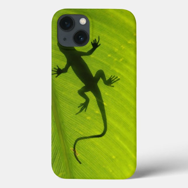 Gecko Silhouette Case-Mate iPhone Hülle (Rückseite)