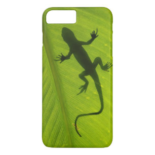 Gecko-Silhouette title_seo2