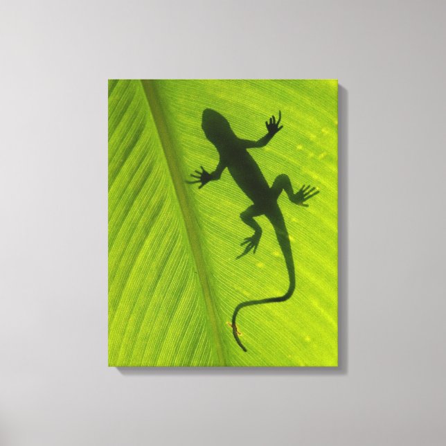 Gecko Silhouette Leinwanddruck (Vorderseite)