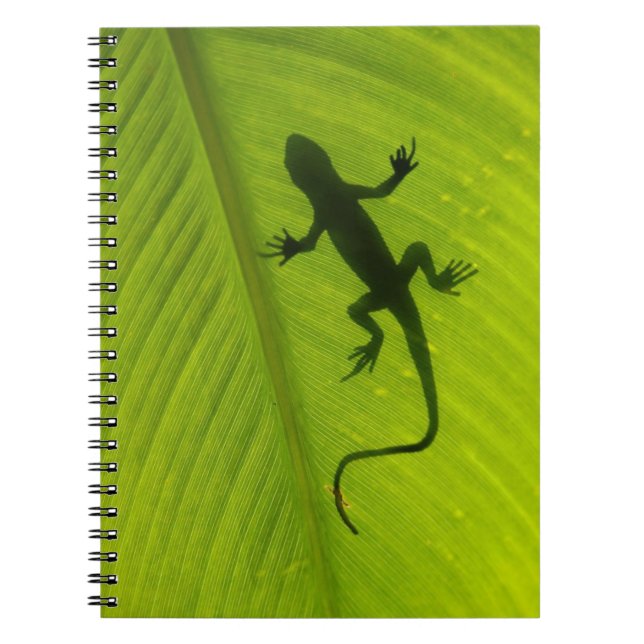 Gecko-Silhouette Notizblock (Vorderseite)