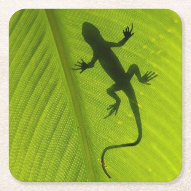 Gecko-Silhouette Rechteckiger Pappuntersetzer (Vorderseite)