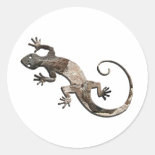 Gecko-Steinwand-Aufkleber Runder Aufkleber