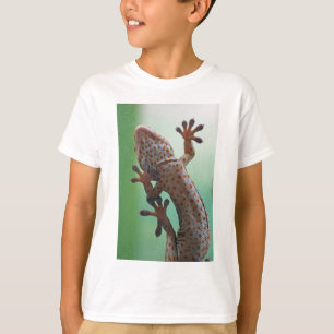Gecko T - Shirt