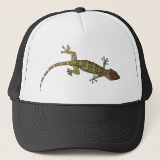 Gecko Truckerkappe