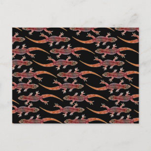 Geckos Postkarte