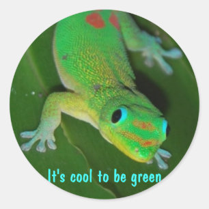 Geckostandpunkt - er ist cool, grün zu sein runder aufkleber