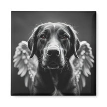 Gedächtnisangel Dog Labrador