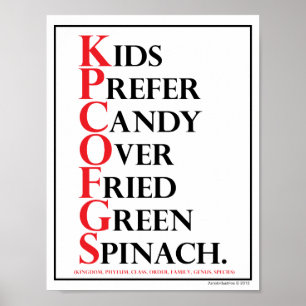 Gedächtnislehre: Kinder bevorzugen Süßigkeit - Poster